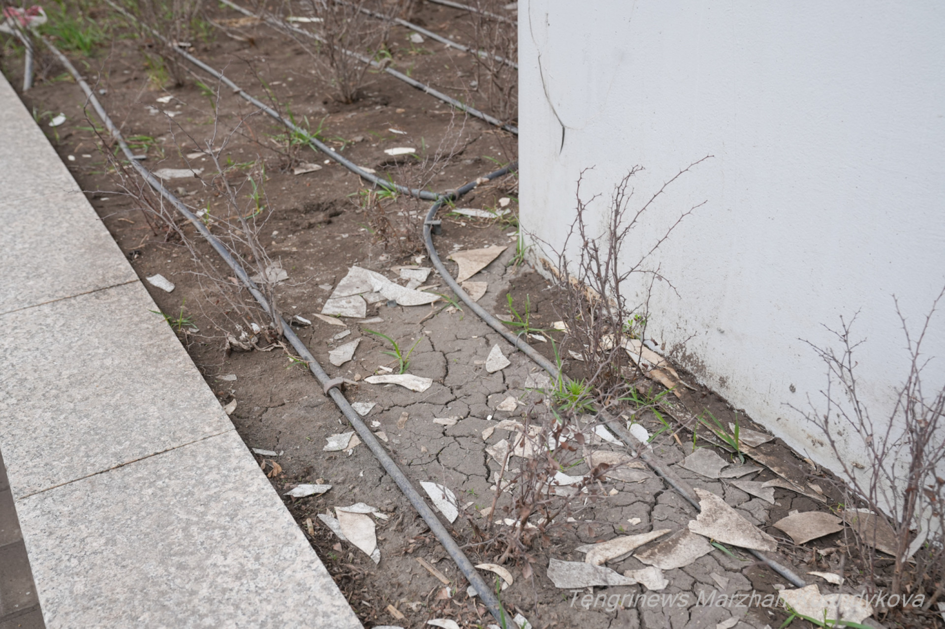 отслоившаяся краска на Астана LRT