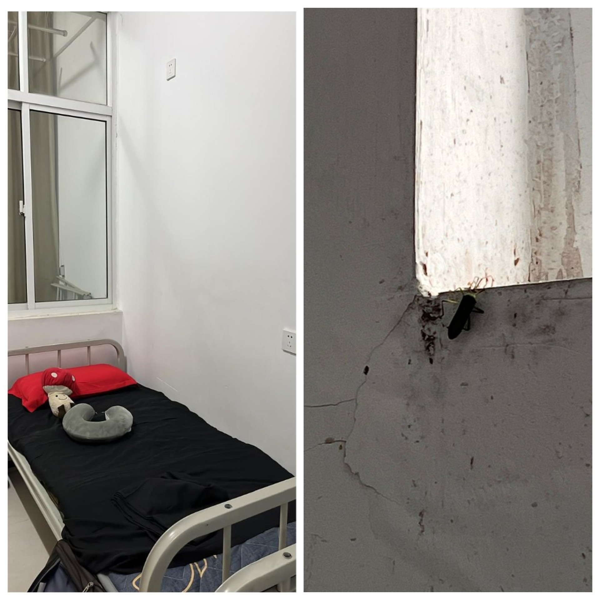 Общежитие Китай студенты Neupusti обман плохие условия плесень антисанитария