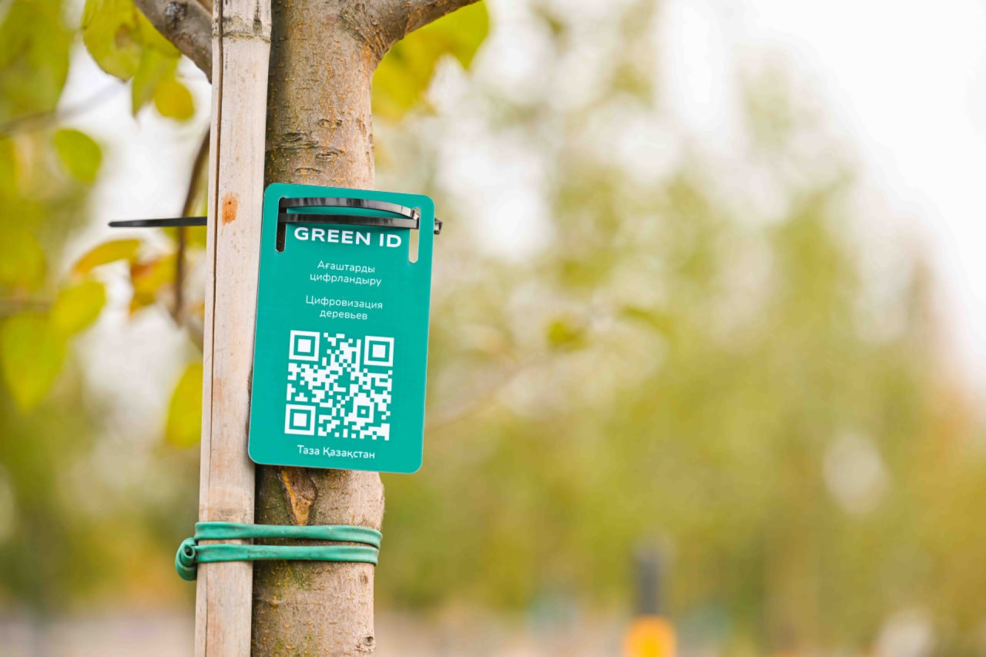 Ботанический сад