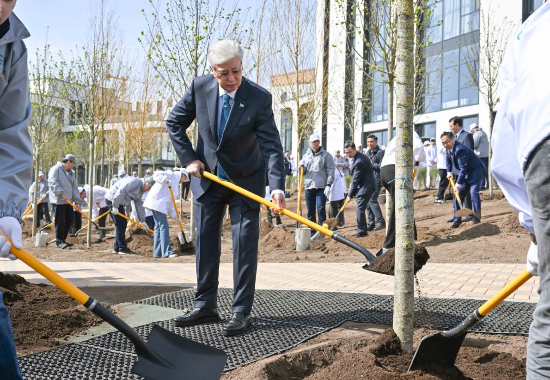 Токаев посадил дерево