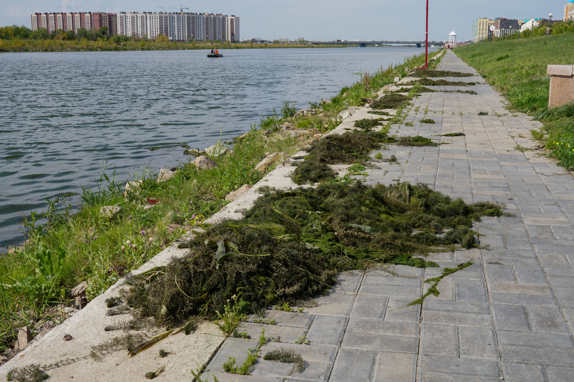 Выловленный из Ишима ил, Астана