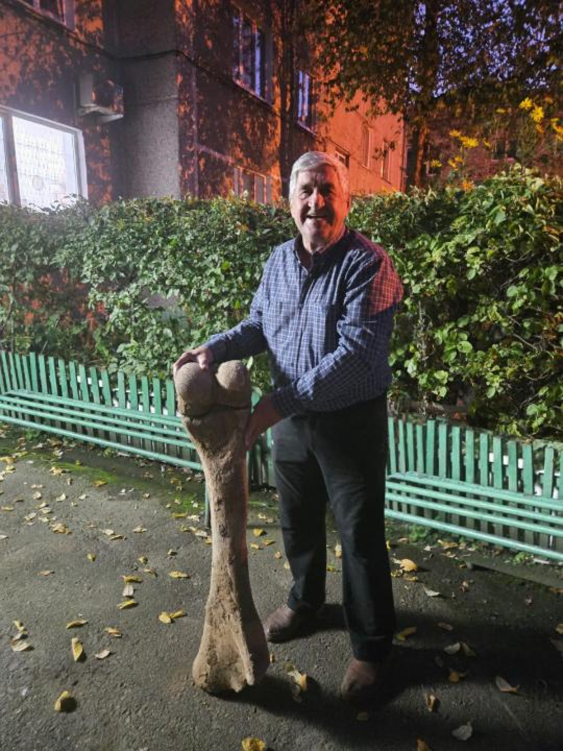 Анатолий Плешаков