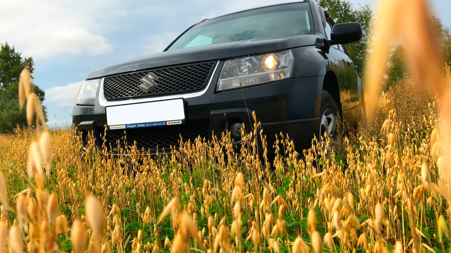Suzuki Grand Vitara - Tengri Auto