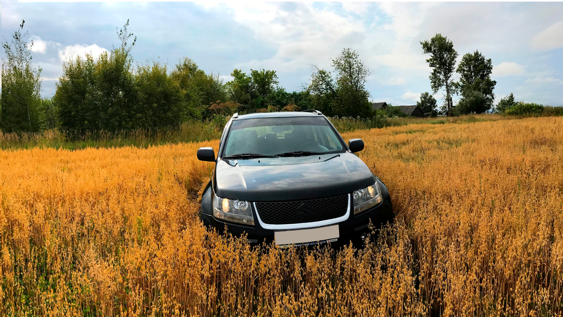 Suzuki Grand Vitara - Tengri Auto