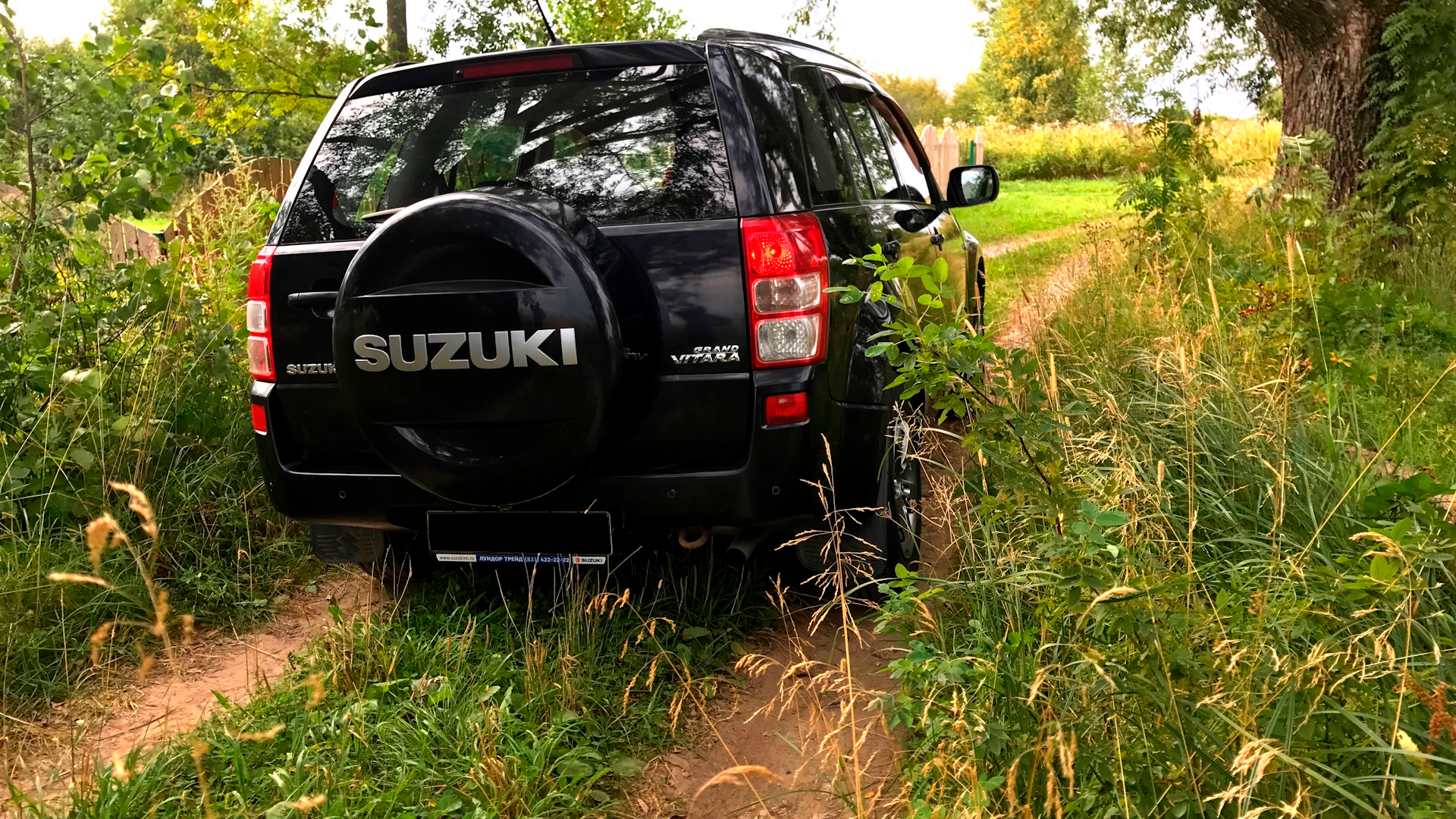 Suzuki Grand Vitara - Tengri Auto