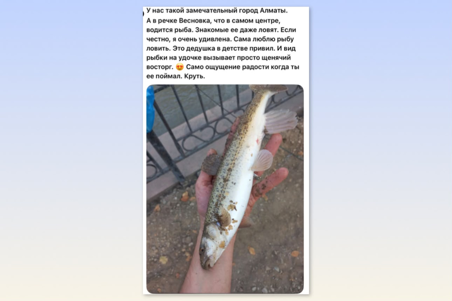 “I didn't know there was fish there“ - catch from Esentai surprised ...