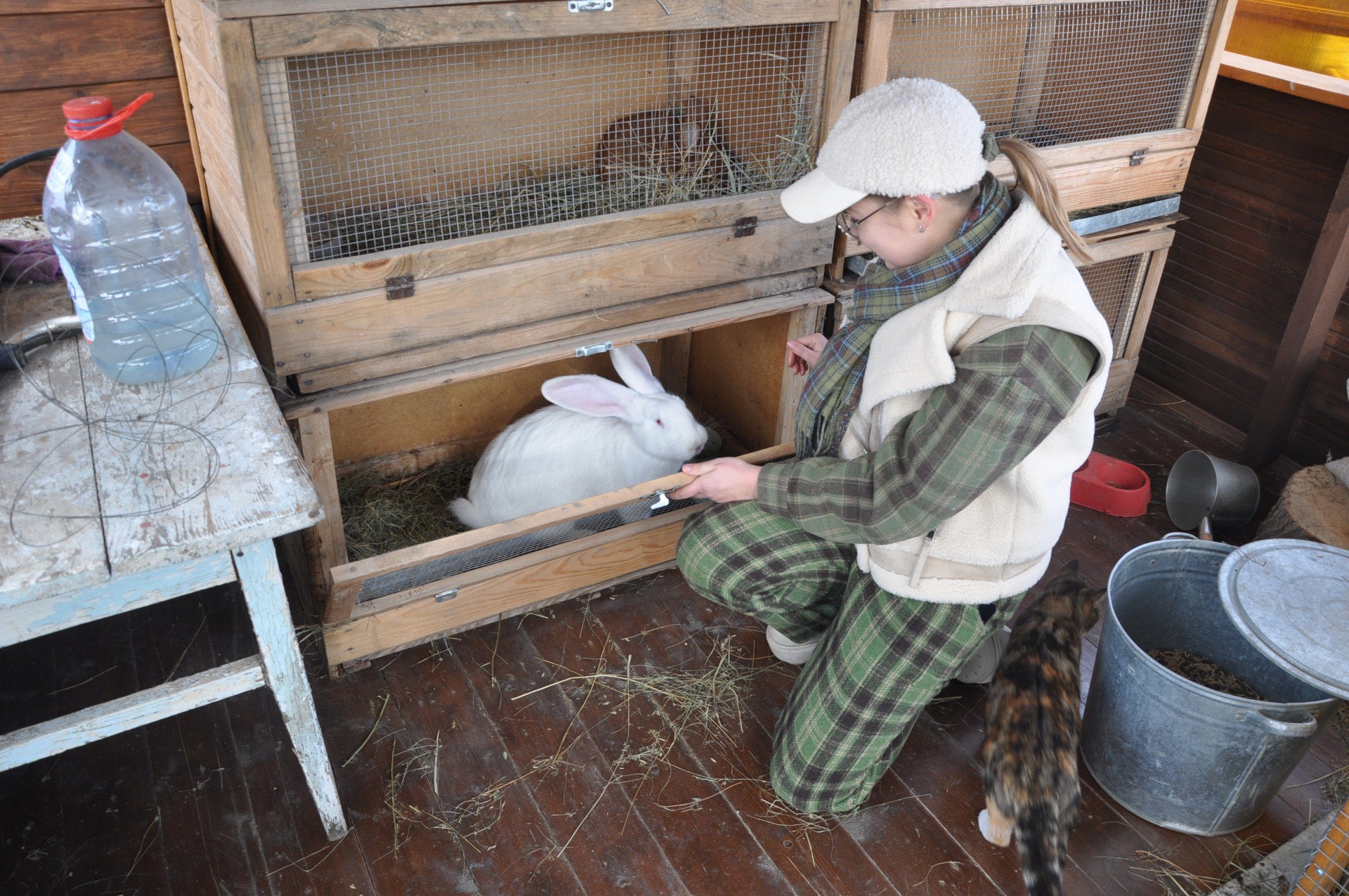 Ирина Фишбух показывает белого кролика