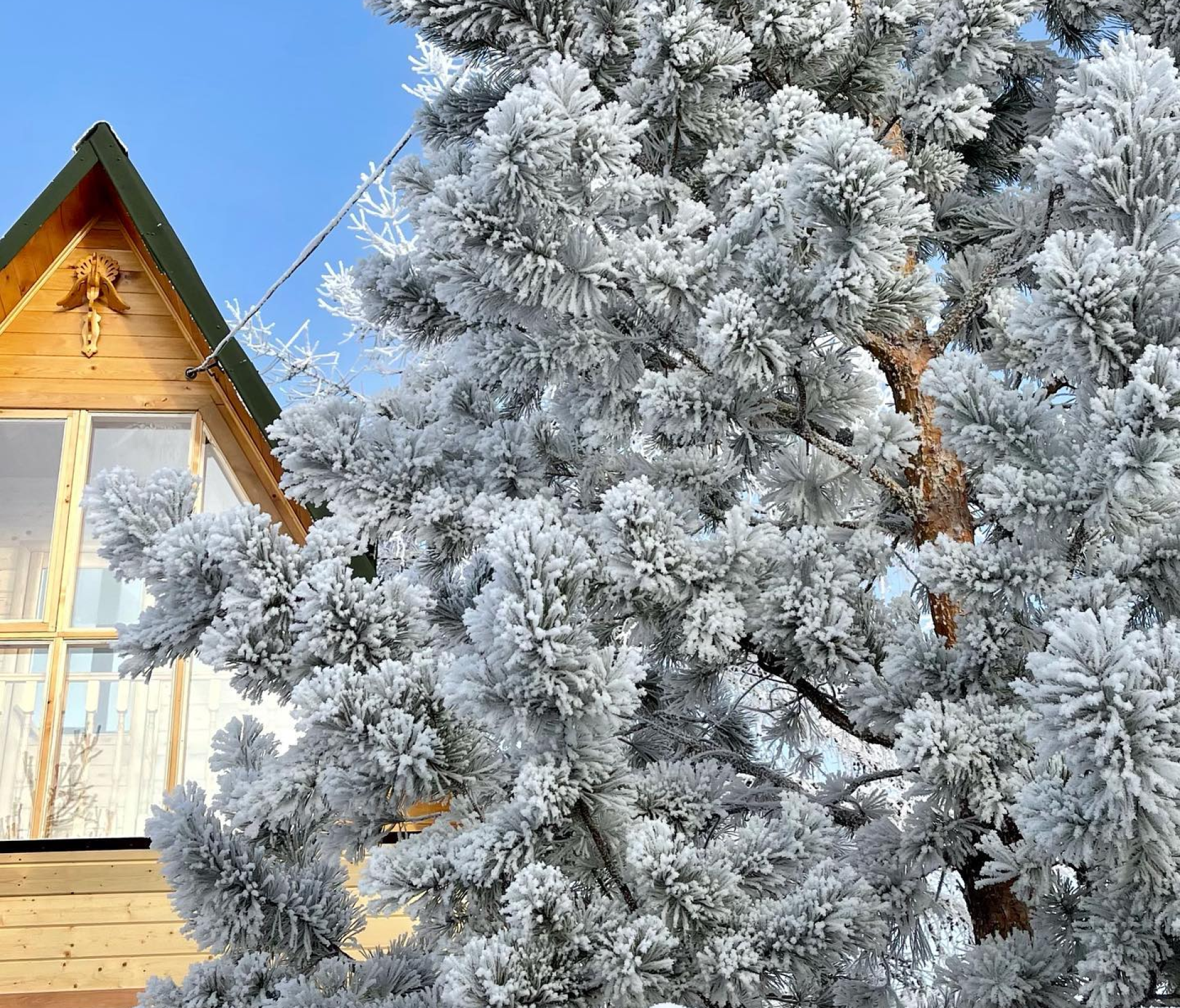 Дача Ирины Фишбух зимой. Фото из личного архива героини