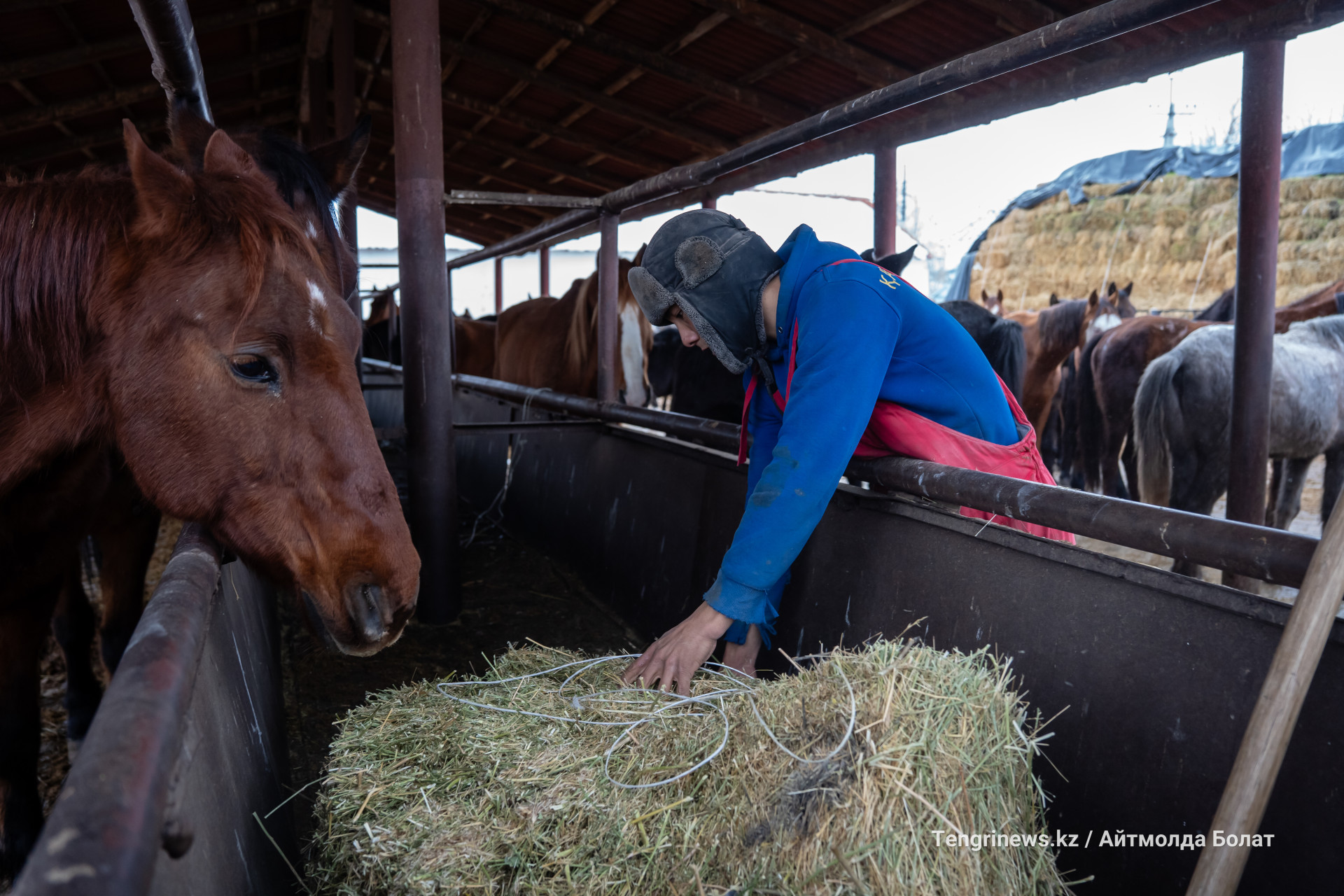 Конюшня в заповеднике