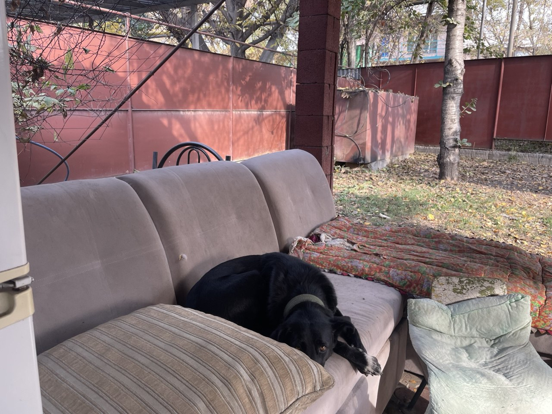 Во дворе дома №6