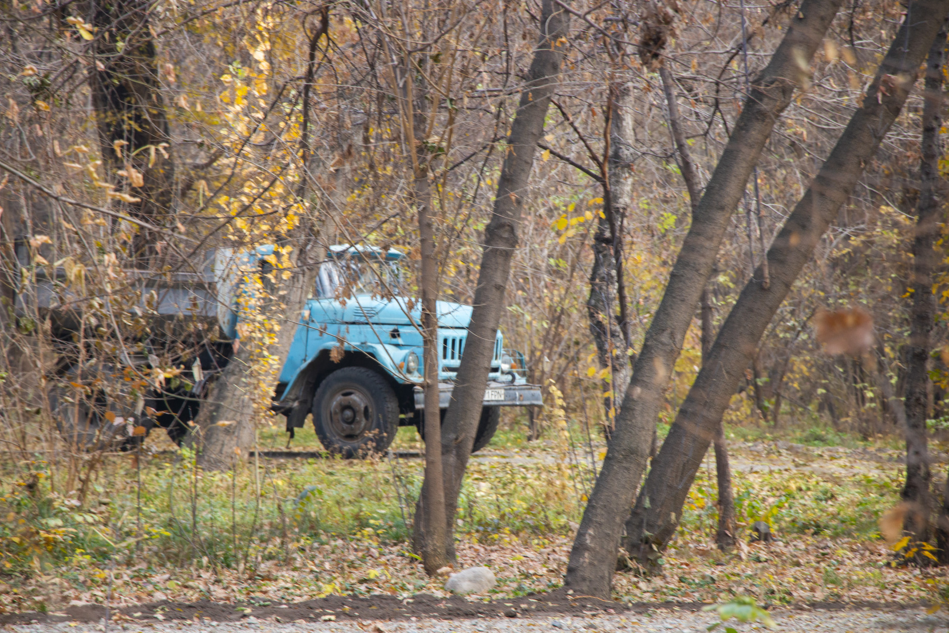 Строительная техника в роще Баума 28 октября 2025 года
