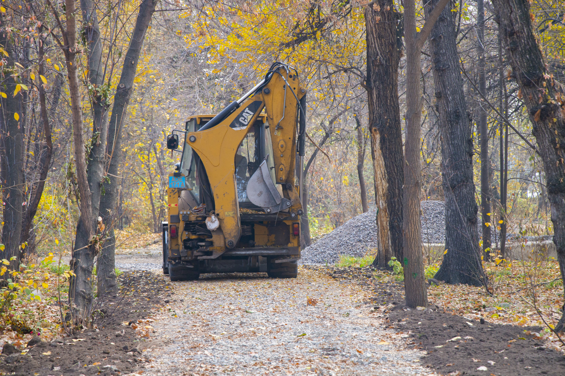 Строительная техника в роще Баума 28 октября 2025 года