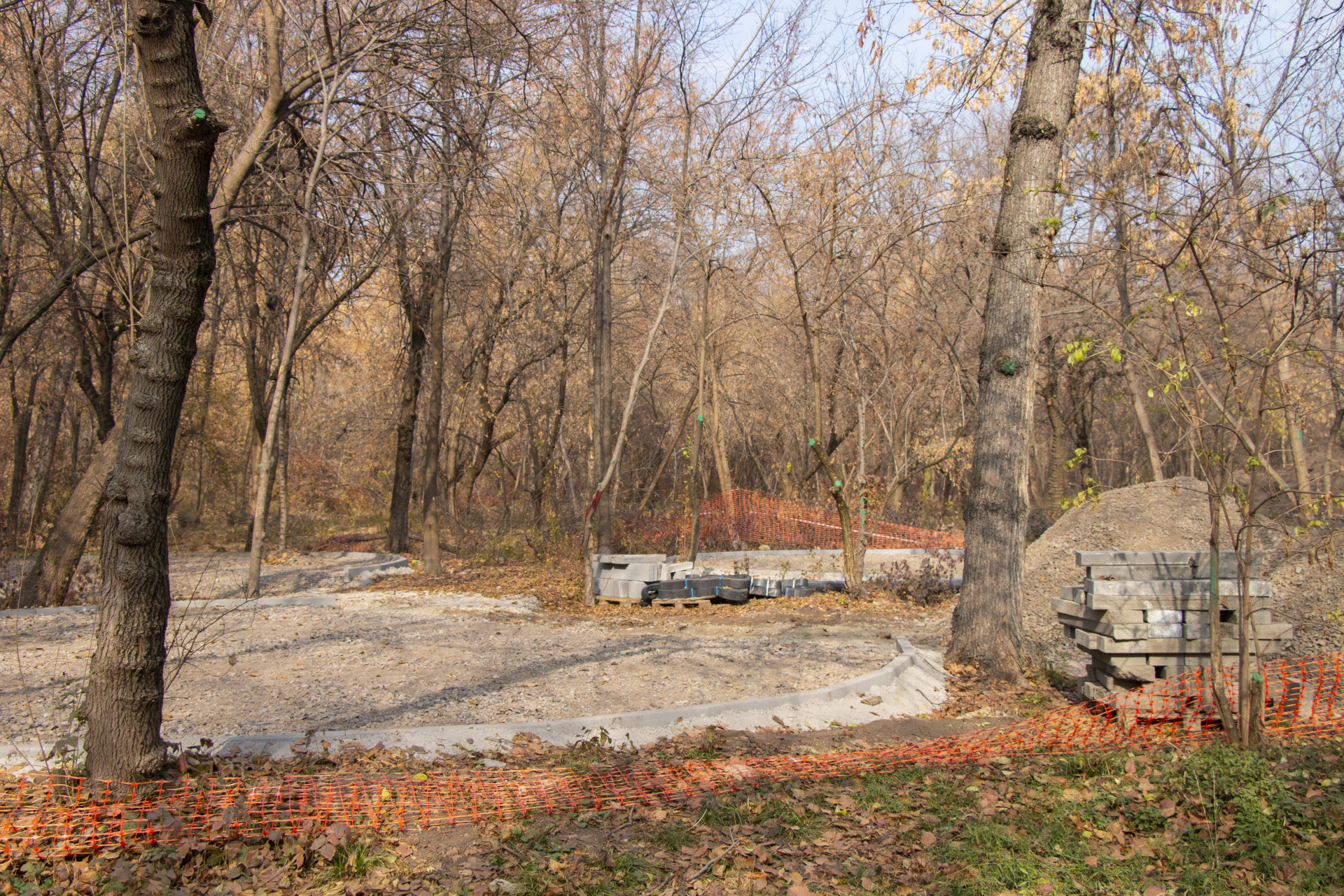 Заготовка под площадку в роще Баума 28 октября 2025 года