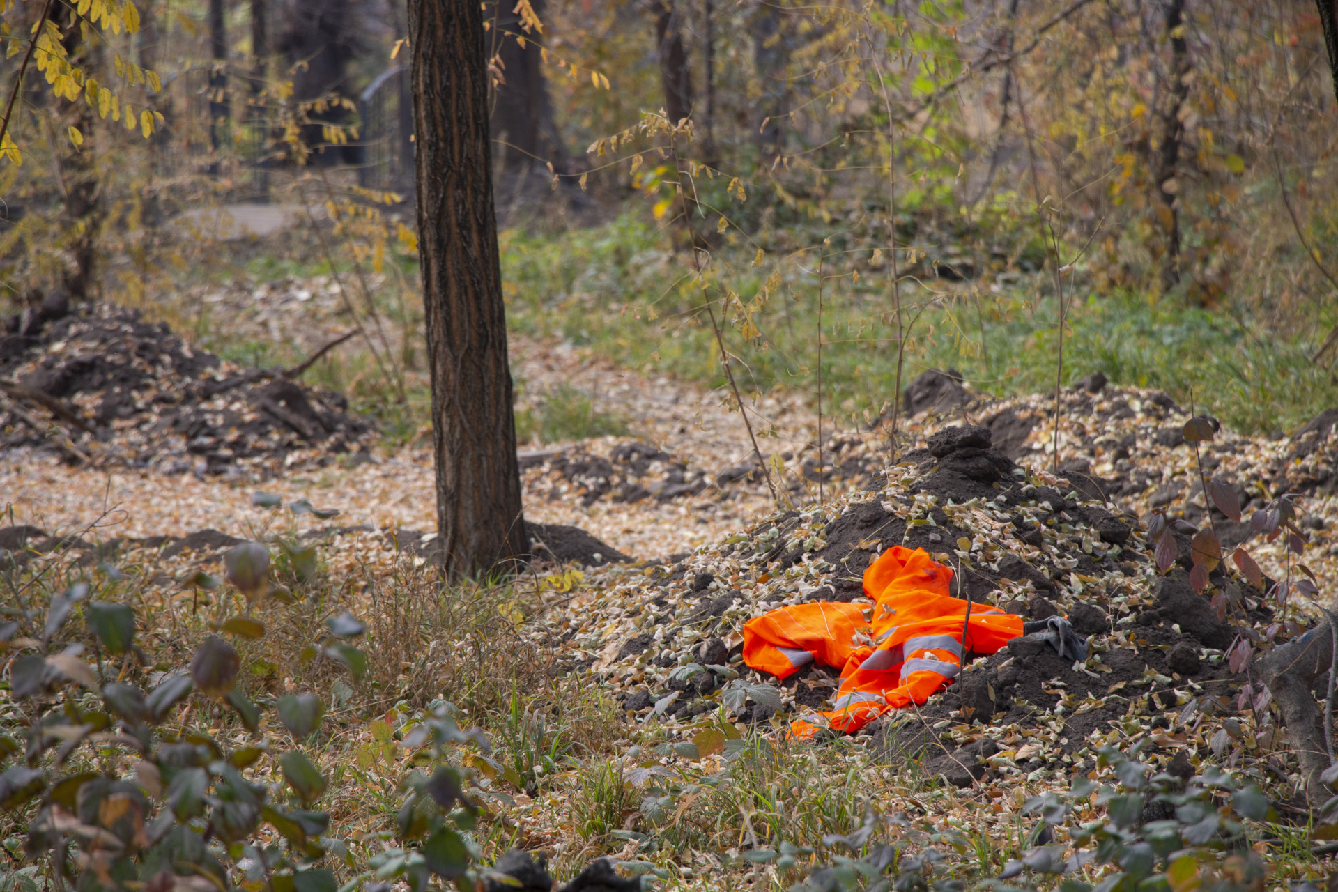 Брошенные оранжевые жилеты недалеко от места спила деревьев в роще Баума в Алматы