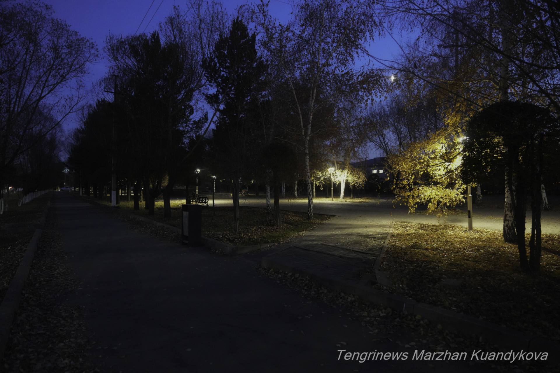 темная аллея