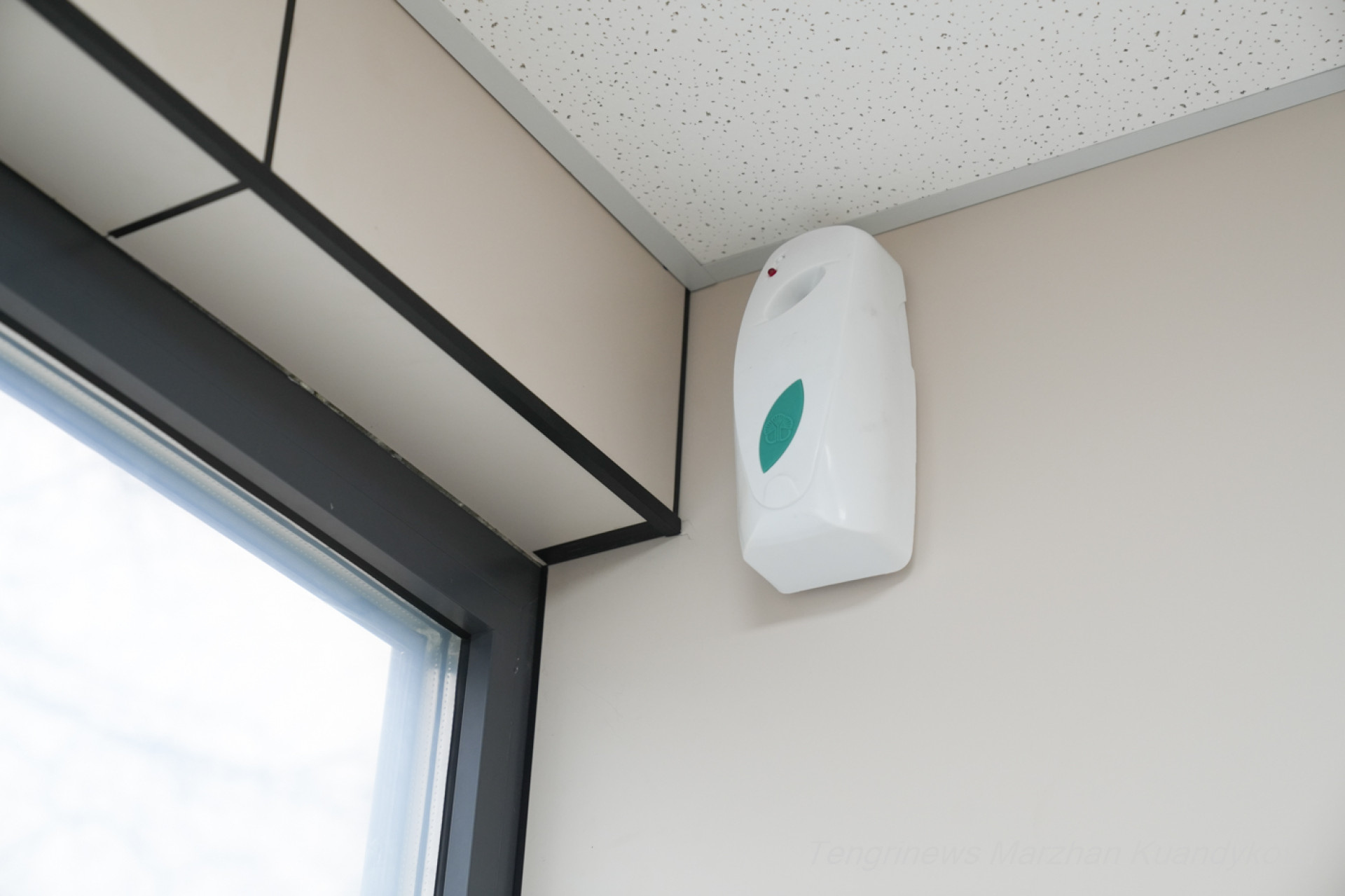 освежитель