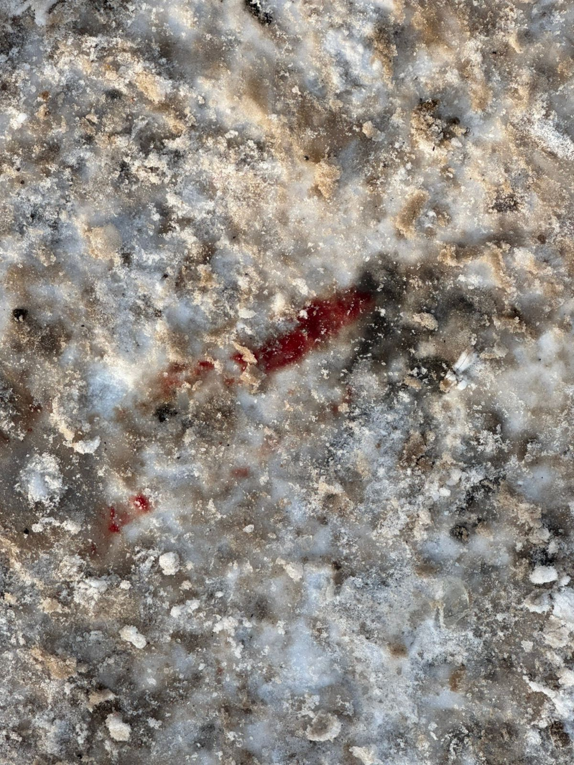 следы крови