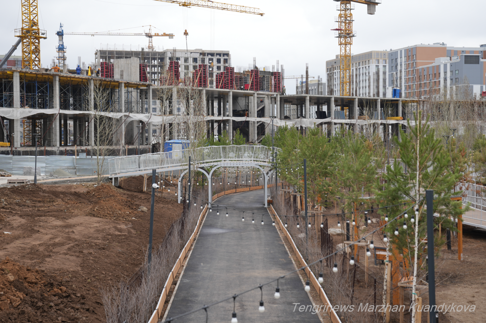 строительство парка