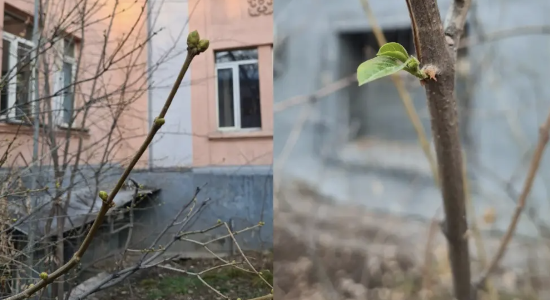 зима в Алматы