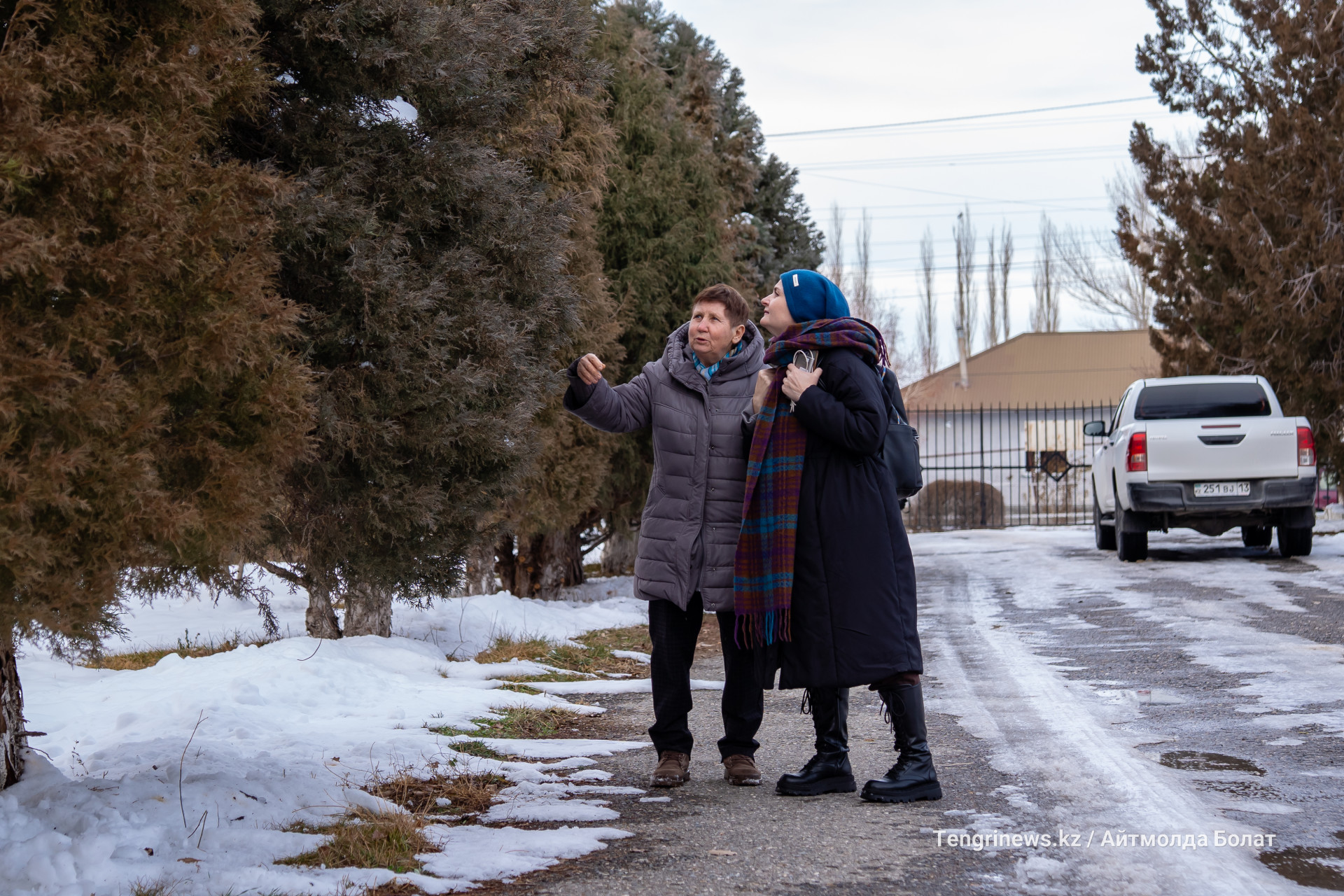 Арча в заповеднике Аксу-Жабаглы
