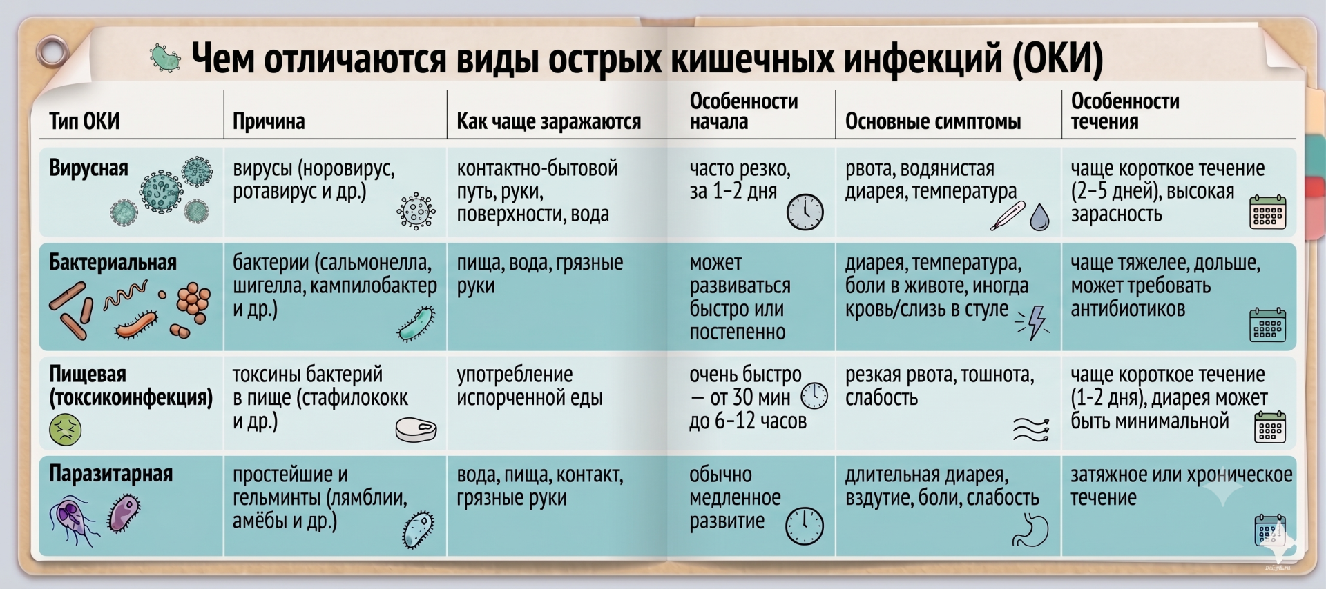 Чем отличаются виды острых кишечных инфекций